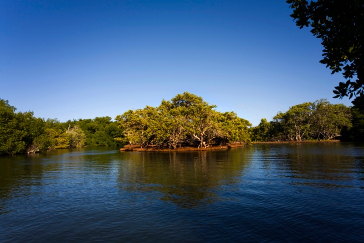 Resultado de imagen de Parque Nacional Laguna de la Restinga